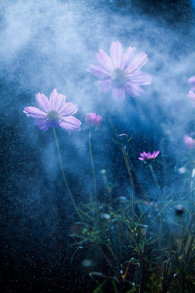 唯美意境伤感风景lomo清新素材