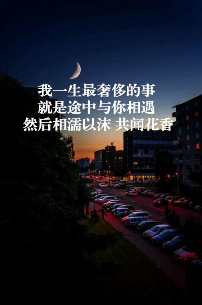 一个人的浮世清欢