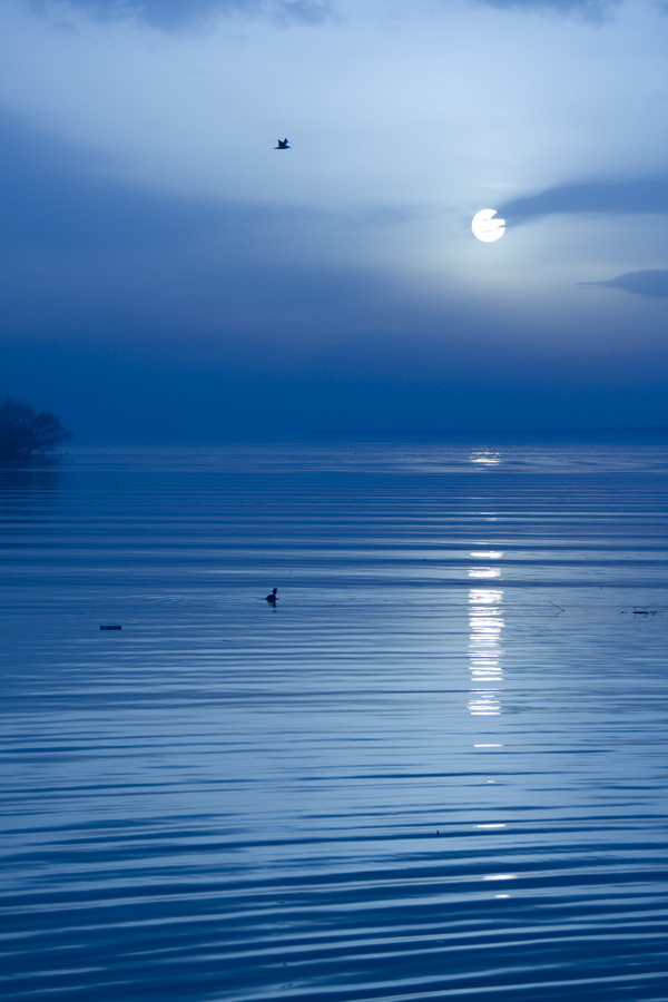 清新月光幽静伤感风景唯美意境图片